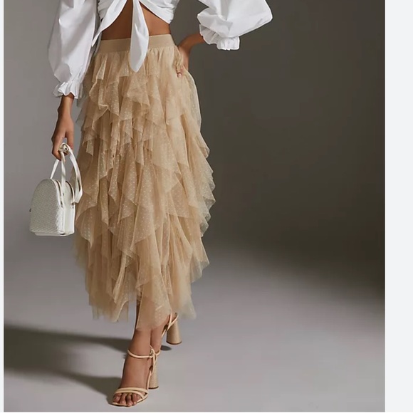 ShopEvelynne Dresses & Skirts - 38 Carrie Textured Tulle Mesh Skirt